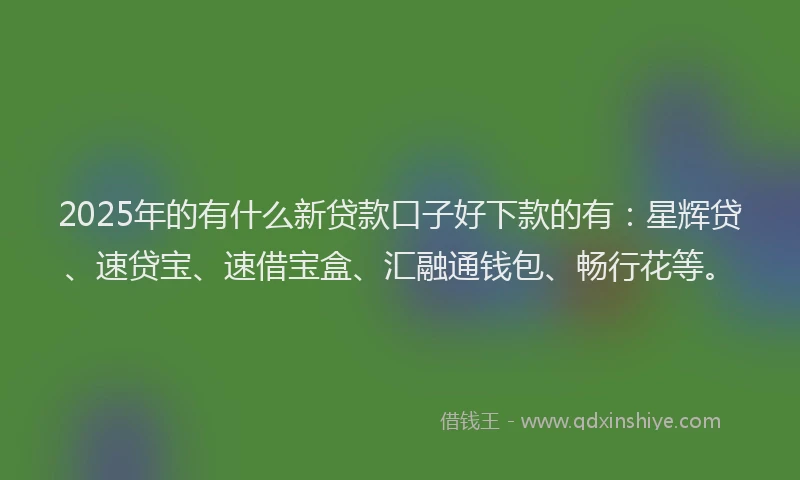 2025年的有什么新贷款口子好下款的有：星辉贷、速贷宝、速借宝盒、汇融通钱包、畅行花等。