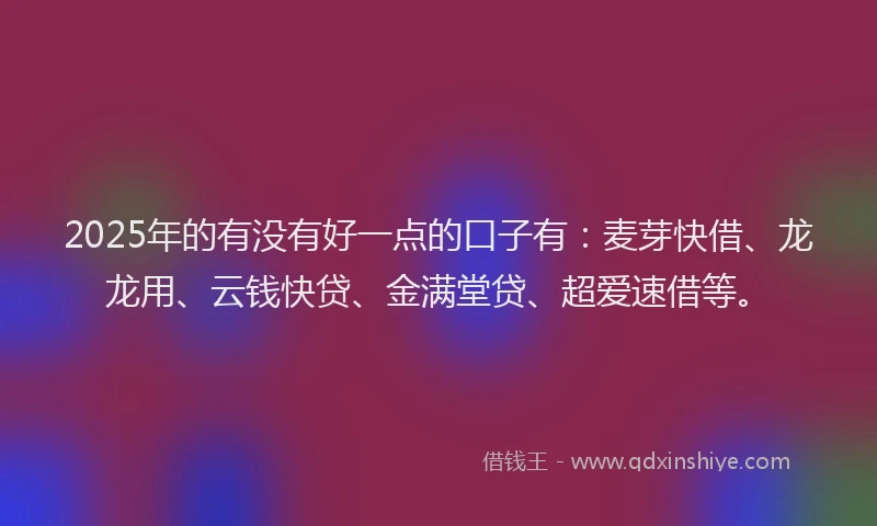 2025年的有没有好一点的口子有：麦芽快借、龙龙用、云钱快贷、金满堂贷、超爱速借等。
