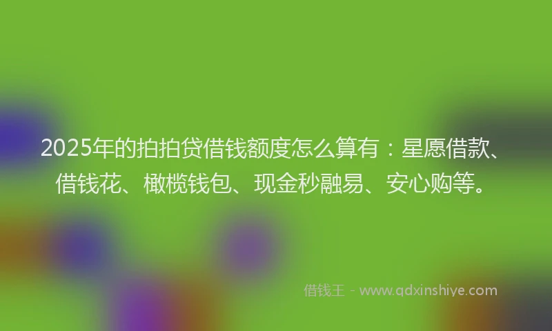2025年的拍拍贷借钱额度怎么算有：星愿借款、借钱花、橄榄钱包、现金秒融易、安心购等。