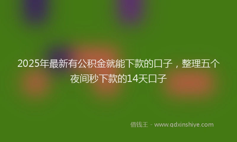 2025年最新有公积金就能下款的口子，整理五个夜间秒下款的14天口子
