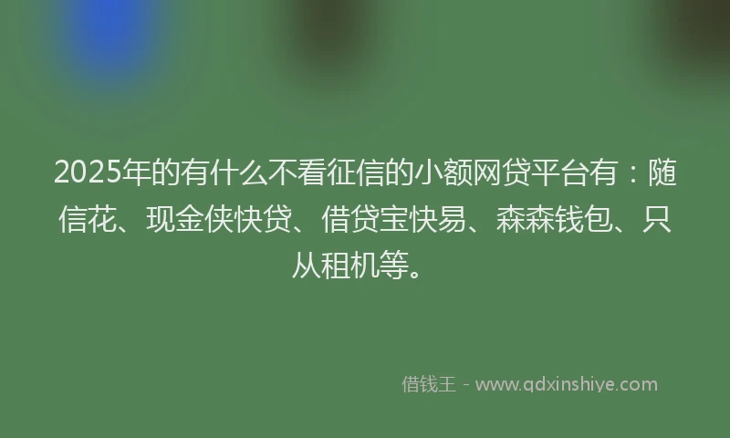 2025年的有什么不看征信的小额网贷平台有：随信花、现金侠快贷、借贷宝快易、森森钱包、只从租机等。