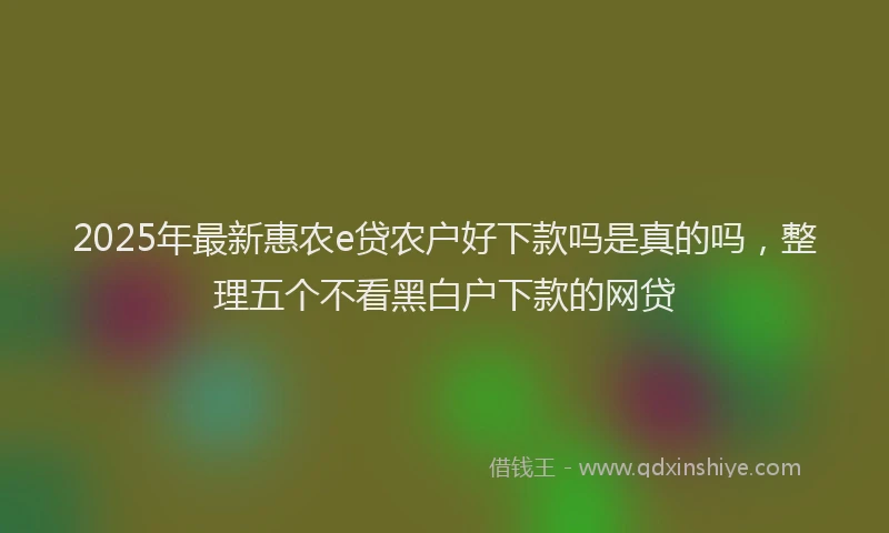 2025年最新惠农e贷农户好下款吗是真的吗，整理五个不看黑白户下款的网贷
