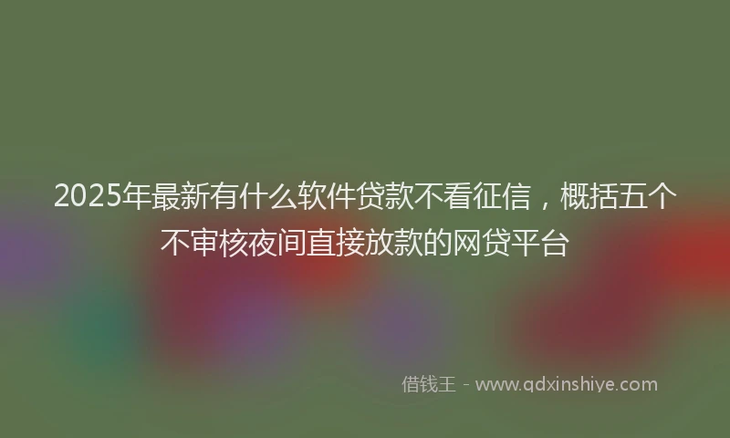 2025年最新有什么软件贷款不看征信，概括五个不审核夜间直接放款的网贷平台