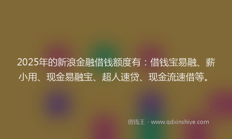 2025年的新浪金融借钱额度有：借钱宝易融、薪小用、现金易融宝、超人速贷、现金流速借等。