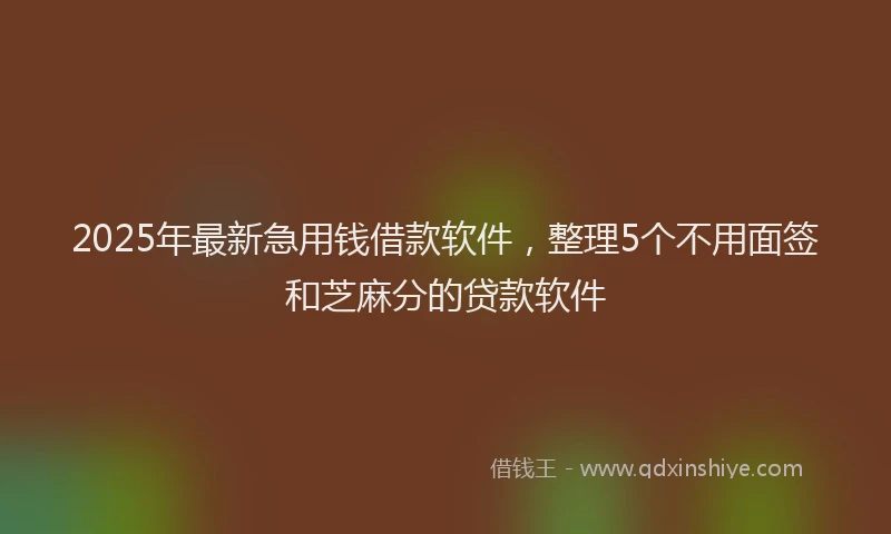 2025年最新急用钱借款软件，整理5个不用面签和芝麻分的贷款软件