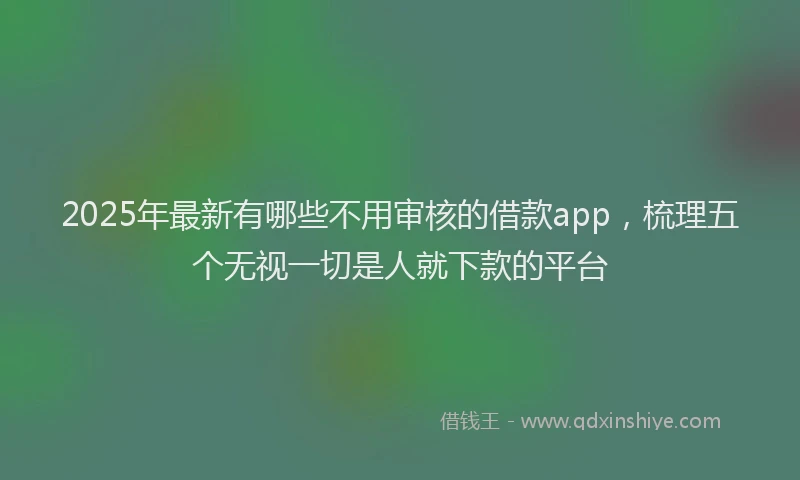 2025年最新有哪些不用审核的借款app，梳理五个无视一切是人就下款的平台