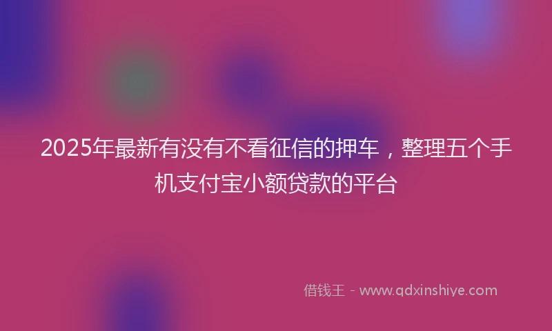 2025年最新有没有不看征信的押车，整理五个手机支付宝小额贷款的平台