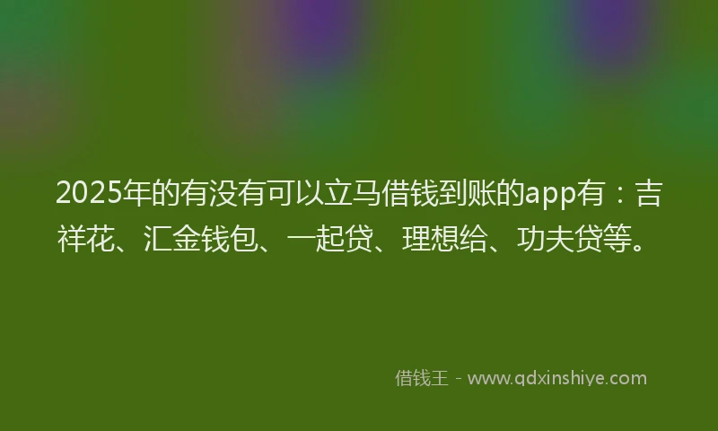2025年的有没有可以立马借钱到账的app有：吉祥花、汇金钱包、一起贷、理想给、功夫贷等。