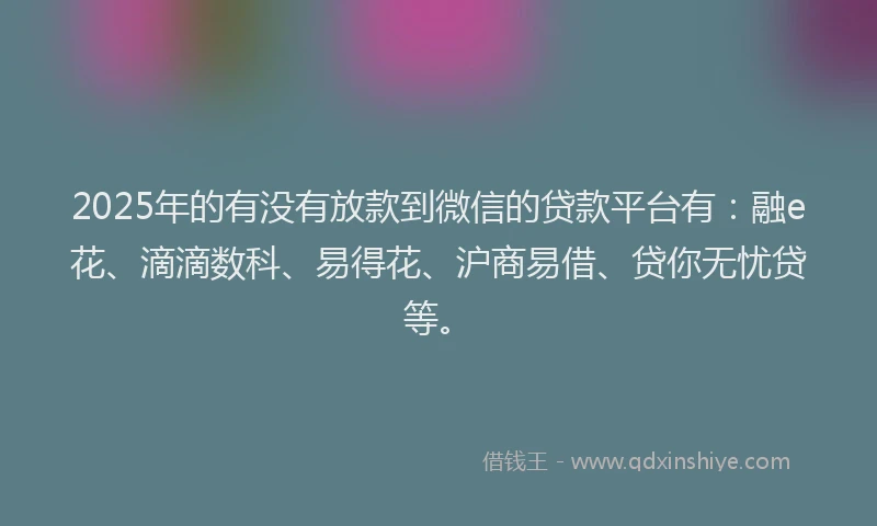 2025年的有没有放款到微信的贷款平台有：融e花、滴滴数科、易得花、沪商易借、贷你无忧贷等。