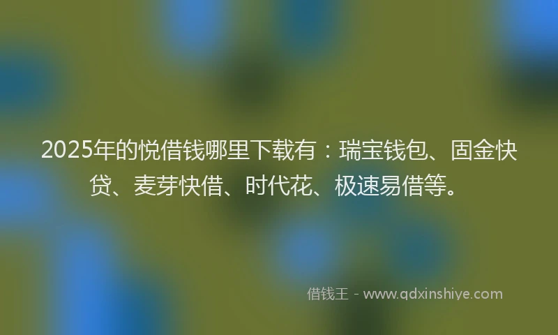 2025年的悦借钱哪里下载有：瑞宝钱包、固金快贷、麦芽快借、时代花、极速易借等。