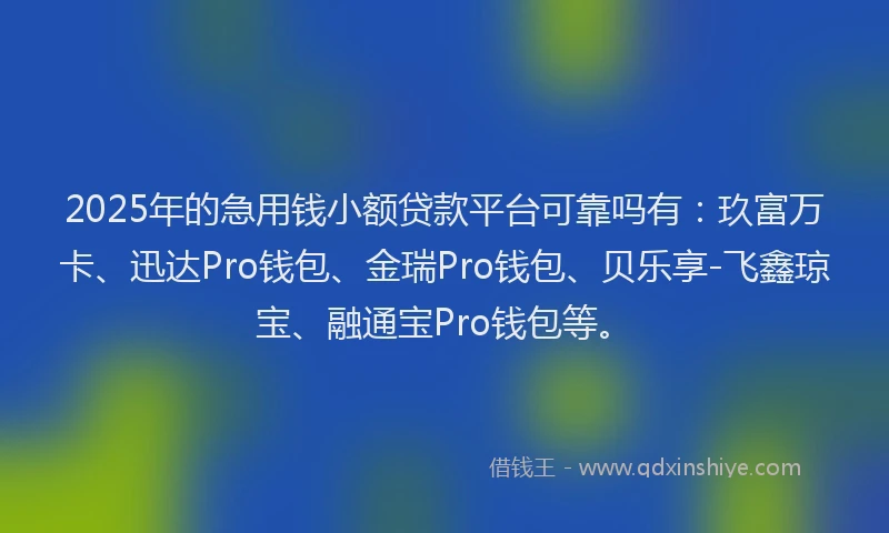 2025年的急用钱小额贷款平台可靠吗有：玖富万卡、迅达Pro钱包、金瑞Pro钱包、贝乐享-飞鑫琼宝、融通宝Pro钱包等。