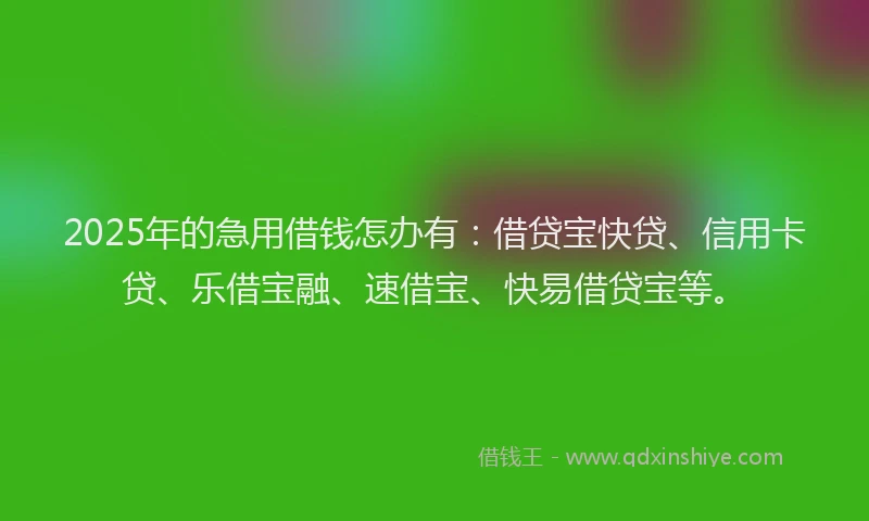 2025年的急用借钱怎办有：借贷宝快贷、信用卡贷、乐借宝融、速借宝、快易借贷宝等。