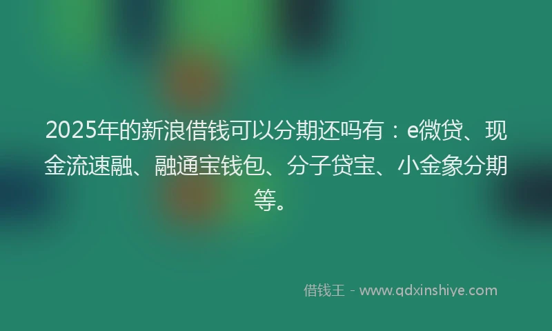 2025年的新浪借钱可以分期还吗有：e微贷、现金流速融、融通宝钱包、分子贷宝、小金象分期等。