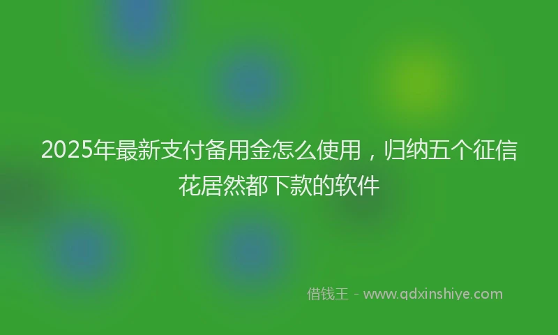 2025年最新支付备用金怎么使用，归纳五个征信花居然都下款的软件