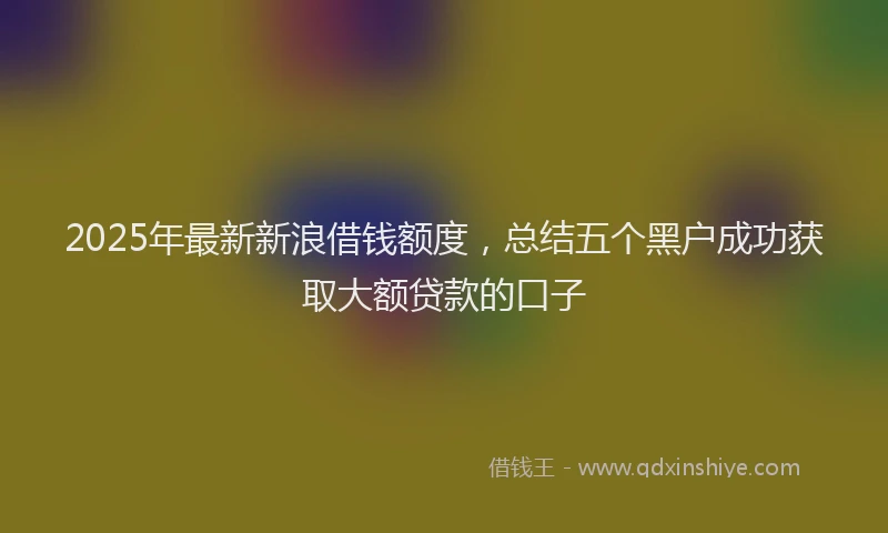 2025年最新新浪借钱额度，总结五个黑户成功获取大额贷款的口子