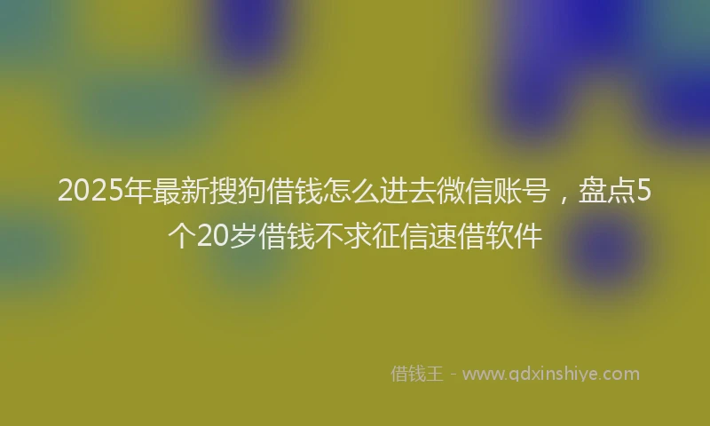 2025年最新搜狗借钱怎么进去微信账号，盘点5个20岁借钱不求征信速借软件