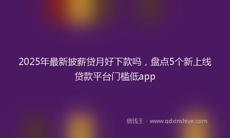 2025年最新披薪贷月好下款吗，盘点5个新上线贷款平台门槛低app