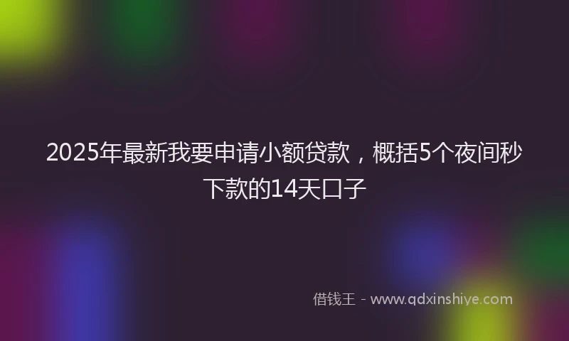 2025年最新我要申请小额贷款，概括5个夜间秒下款的14天口子