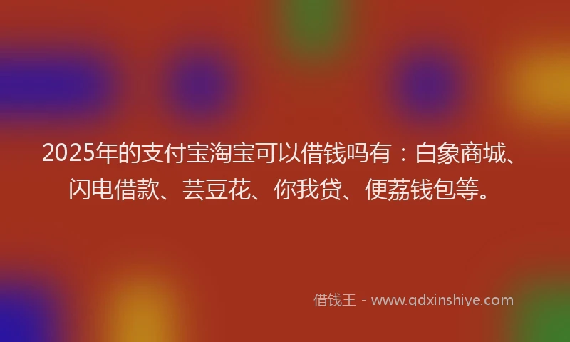 2025年的支付宝淘宝可以借钱吗有：白象商城、闪电借款、芸豆花、你我贷、便荔钱包等。