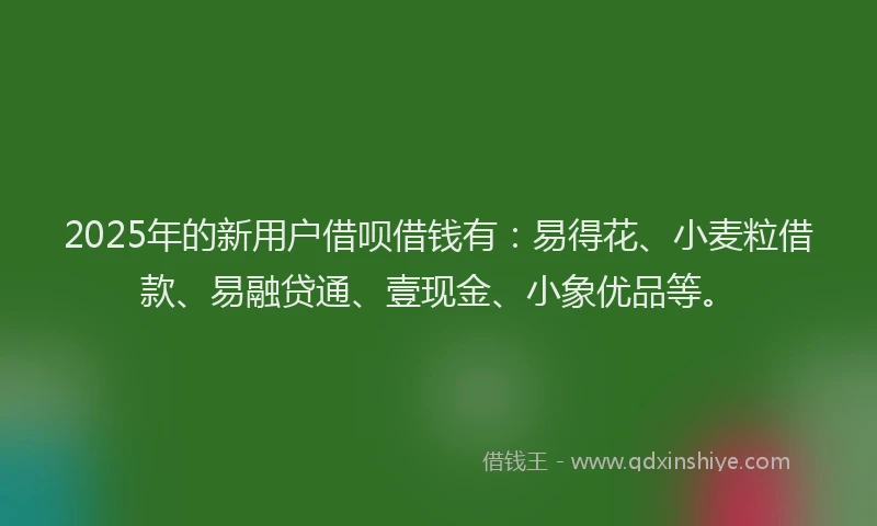 2025年的新用户借呗借钱有：易得花、小麦粒借款、易融贷通、壹现金、小象优品等。