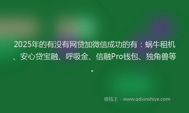 2025年的有没有网贷加微信成功的有：蜗牛租机、安心贷宝融、呼吸金、信融Pro钱包、独角兽等。