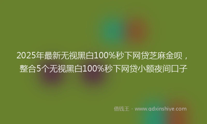2025年最新无视黑白100%秒下网贷芝麻金呗，整合5个无视黑白100%秒下网贷小额夜间口子