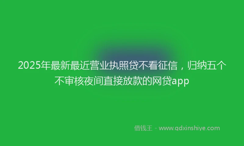 2025年最新最近营业执照贷不看征信，归纳五个不审核夜间直接放款的网贷app