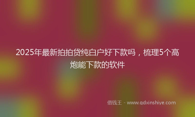 2025年最新拍拍贷纯白户好下款吗，梳理5个高炮能下款的软件