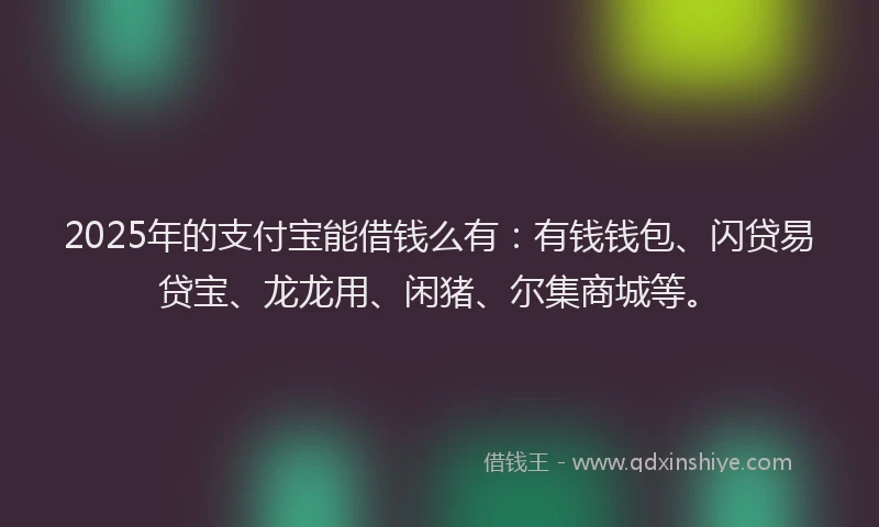 2025年的支付宝能借钱么有：有钱钱包、闪贷易贷宝、龙龙用、闲猪、尔集商城等。