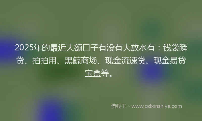 2025年的最近大额口子有没有大放水有：钱袋瞬贷、拍拍用、黑鲸商场、现金流速贷、现金易贷宝盒等。
