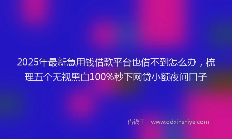 2025年最新急用钱借款平台也借不到怎么办，梳理五个无视黑白100%秒下网贷小额夜间口子