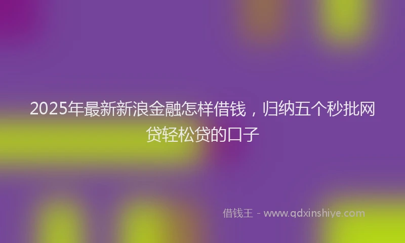 2025年最新新浪金融怎样借钱，归纳五个秒批网贷轻松贷的口子