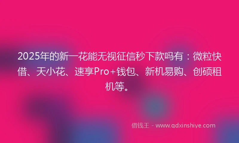 2025年的新一花能无视征信秒下款吗有：微粒快借、天小花、速享Pro+钱包、新机易购、创硕租机等。