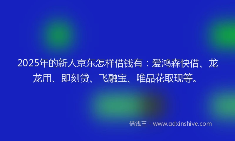 2025年的新人京东怎样借钱有：爱鸿森快借、龙龙用、即刻贷、飞融宝、唯品花取现等。