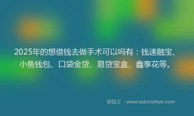 2025年的想借钱去做手术可以吗有：钱速融宝、小鱼钱包、口袋金贷、易贷宝盒、鑫享花等。