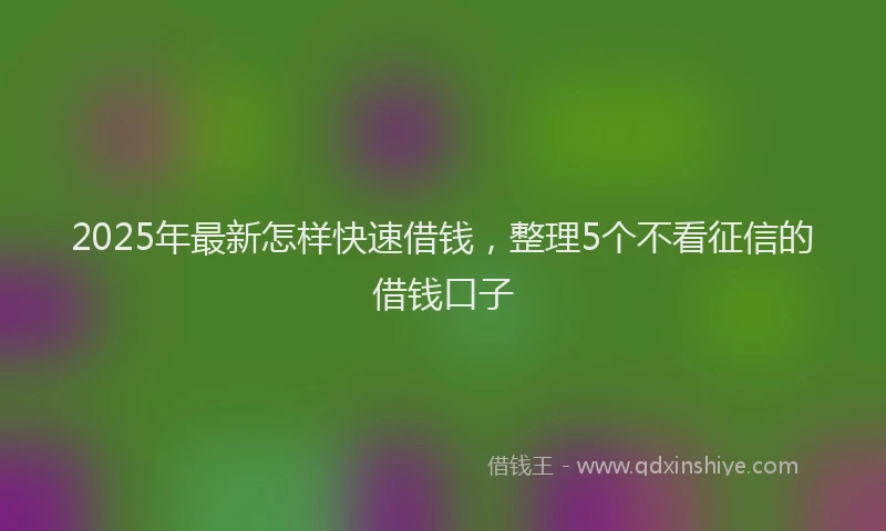 2025年最新怎样快速借钱，整理5个不看征信的借钱口子