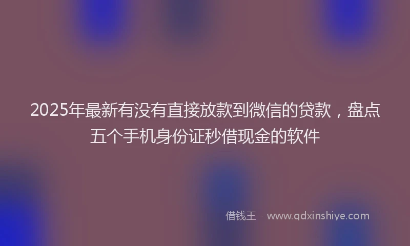2025年最新有没有直接放款到微信的贷款，盘点五个手机身份证秒借现金的软件