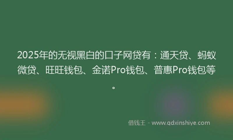 2025年的无视黑白的口子网贷有：通天贷、蚂蚁微贷、旺旺钱包、金诺Pro钱包、普惠Pro钱包等。