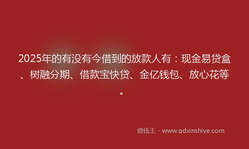 2025年的有没有今借到的放款人有：现金易贷盒、树融分期、借款宝快贷、金亿钱包、放心花等。