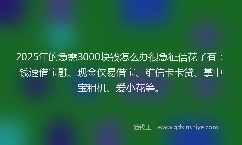 2025年的急需3000块钱怎么办很急征信花了有：钱速借宝融、现金侠易借宝、维信卡卡贷、掌中宝租机、爱小花等。
