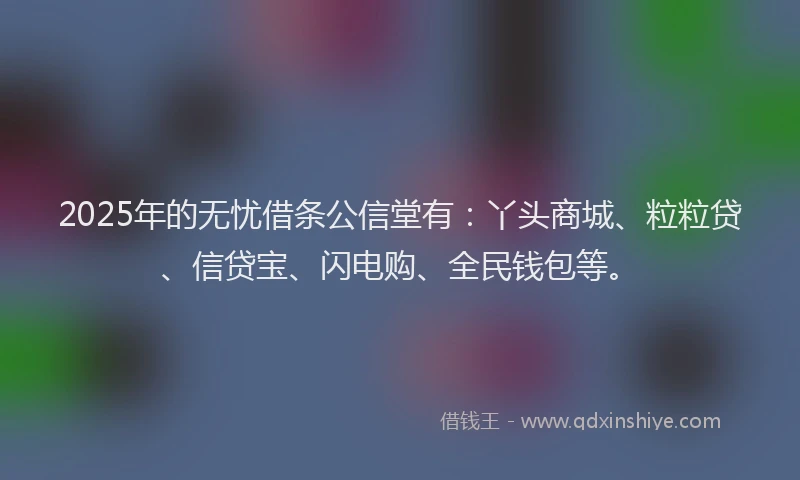 2025年的无忧借条公信堂有：丫头商城、粒粒贷、信贷宝、闪电购、全民钱包等。