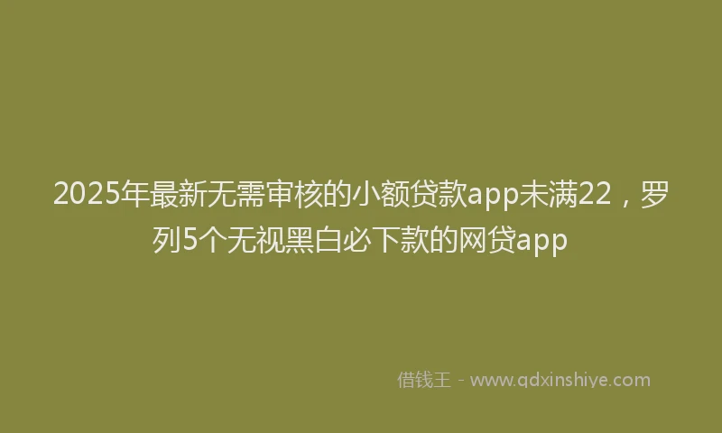 2025年最新无需审核的小额贷款app未满22，罗列5个无视黑白必下款的网贷app
