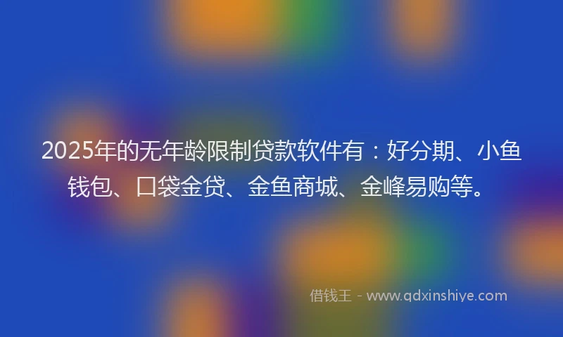 2025年的无年龄限制贷款软件有：好分期、小鱼钱包、口袋金贷、金鱼商城、金峰易购等。