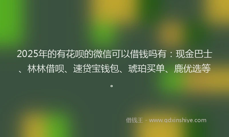 2025年的有花呗的微信可以借钱吗有：现金巴士、林林借呗、速贷宝钱包、琥珀买单、鹿优选等。
