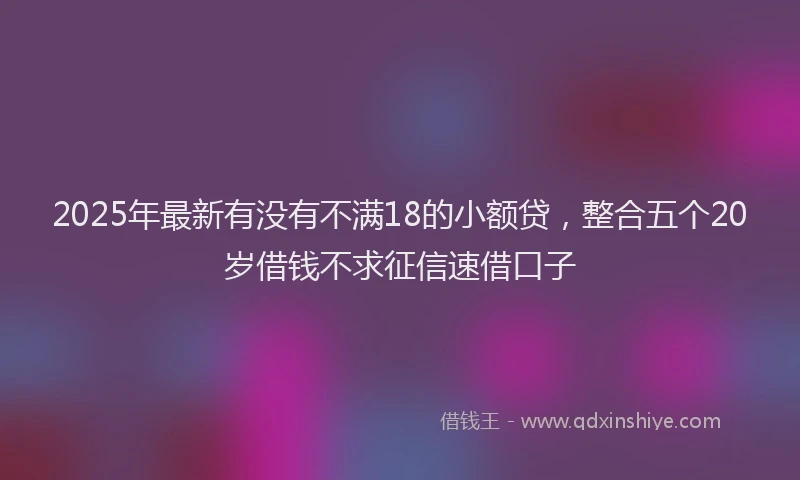 2025年最新有没有不满18的小额贷，整合五个20岁借钱不求征信速借口子