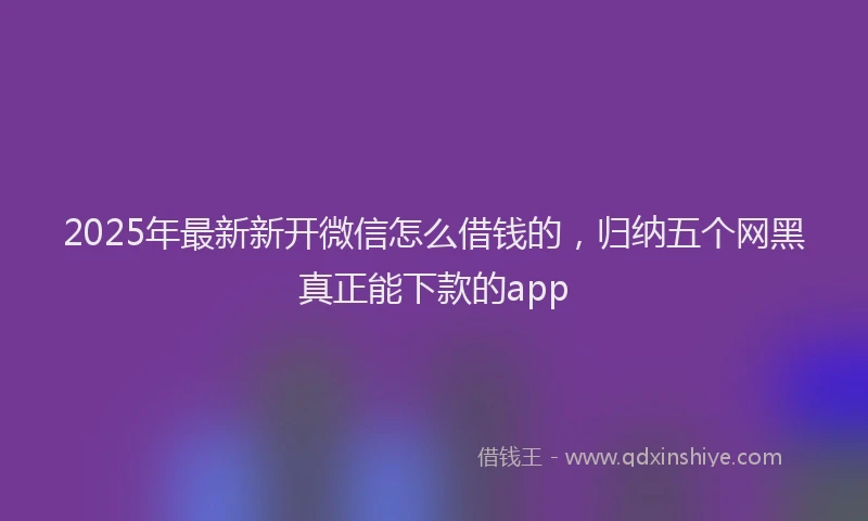 2025年最新新开微信怎么借钱的,归纳五个网黑真正能下款的app