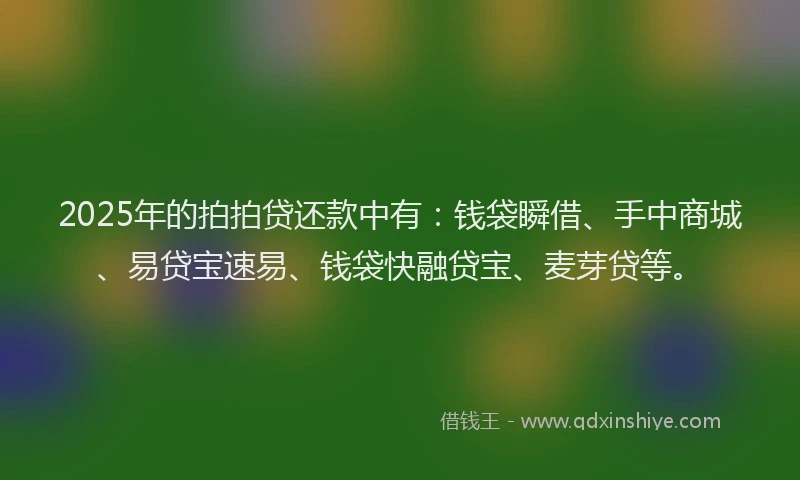 2025年的拍拍贷还款中有：钱袋瞬借、手中商城、易贷宝速易、钱袋快融贷宝、麦芽贷等。