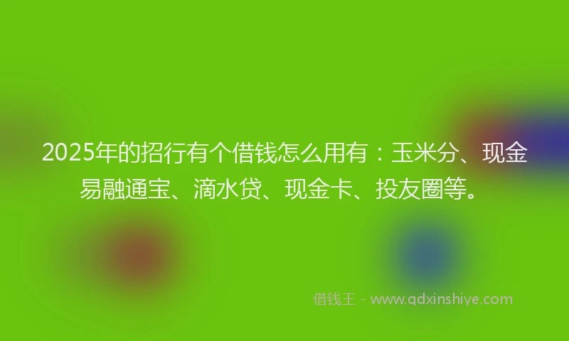 2025年的招行有个借钱怎么用有：玉米分、现金易融通宝、滴水贷、现金卡、投友圈等。