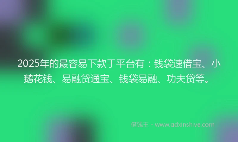 2025年的最容易下款于平台有：钱袋速借宝、小鹅花钱、易融贷通宝、钱袋易融、功夫贷等。