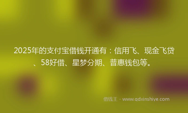2025年的支付宝借钱开通有：信用飞、现金飞贷、58好借、星梦分期、普惠钱包等。